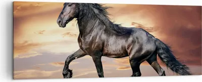 Produktbild von Bild auf Leinwand - Leinwandbild - Pferd Tier Wiese - 140x50cm - Wand Bild - Wanddeko - Wandbilder - Leinwanddruck - Bilder - Kunstdruck - Wanddekoration - Leinwand bilder - Wandkunst - AB140x50-2608