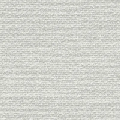 Produktbild von Rasch Vliestapete Color Your Life 312133 Uni Einfarbig Tapete 10.05 x 0.53 m Grau Wohnen Schlafen Küche Flur Eingangsbereich