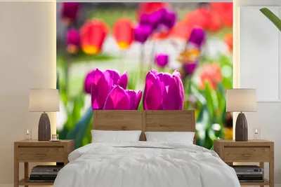 Produktbild von MuchoWow® Fototapete für Wohnzimmer oder Schlafzimmer Wandtapete Vinyl Motivtapete Frühling - Tulpen - Lila - 240x240 cm - Schlafzimmer-Tapete