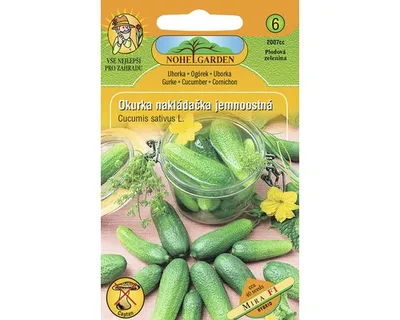Obrázok produktu pre Uhorka nakladačka jemnoostná Mira F1 semená Nohel Garden