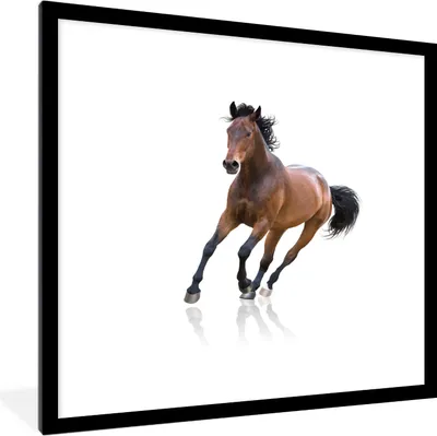 Produktbild von MuchoWow® MuchoWow® Gerahmtes Poster Pferd - Braun - Weiß 40x40 cm - Poster mit zchwarzem Bilderrahmen - Poster - Plakat im Rahmen