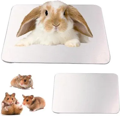 Obrázok produktu pre Chladiaca podložka Hamster Eisbett 10 x 6 cm / 39 x 24 palcov