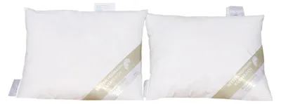 Produktbild von 2 Stück Hofmann Bayern Kissen Kopfkissen 35x40 cm Federkissen 30% Daunen 160g