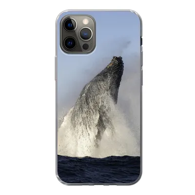 Produktbild von MuchoWow® Handyhülle Schutzhülle Hülle für iPhone 13 Pro Wal - Wasser - Südafrika Silikon Softcase Handy Hülle - Handy-Tasche