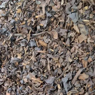 Produktbild von Formosa Fine Oolong Tee Naturideen® 100g