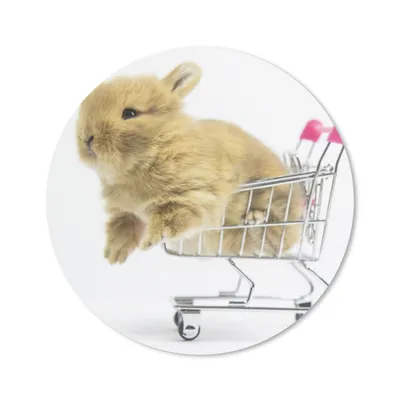Produktbild von MuchoWow® Mauspad Mousepad Kaninchen - Baby - Weiß 40x40 cm - Mousepads - Maus Mat - Pad - Mausunterlage - Schreibtisch Accessoires