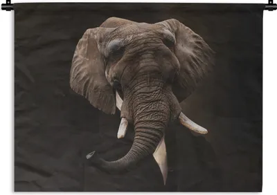 Produktbild von MuchoWow® Wandteppich Wandbehang Elefant - Malerei - Alte Meister 60x45 cm Tapisserie Dekoration Wandtuch - Das Schlafzimmer