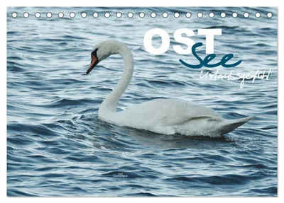 Produktbild von Ostsee - Urlaubsgefühl (Tischkalender 2027 DIN A5 quer), CALVENDO Monatskalender