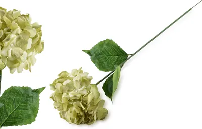 Zdjęcie produktu dla Viridis Kwiat Sztuczny Hortensja 73Cm