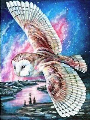 Immagine prodotto di Quadro diamantato Norimpex volo di gufo 30x40cm