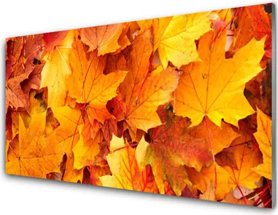 Produktbild von Acrylglasbilder 100x50 Wandbild Druck Blätter Pflanzen