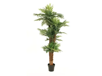 Zdjęcie produktu dla EUROPALMS Palma Areca, sztuczna roślina, 170 cm