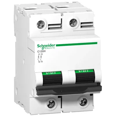 Image de Disjoncteur Schneider Electric C120H, 2P, 125A, caractéristique C, 15kA A9N18459
