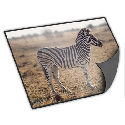 Produktbild von itenga Schreibunterlage Zebra 400 x 530 mm