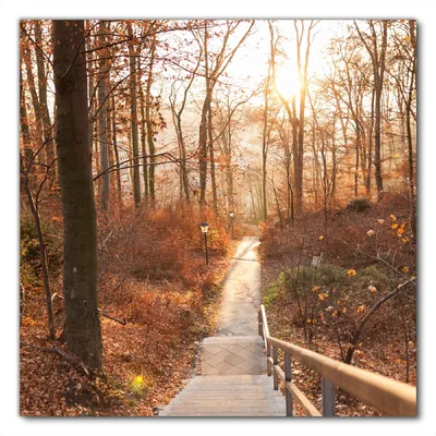 Produktbild von Wallario selbstklebende Möbelfolie/ Tischdecke für Innen und Außen, Größe: 90 x 90 cm - Weg in den Sonnenuntergang