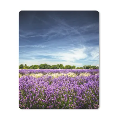 Produktbild von MuchoWow® Mauspad Mousepad Lila und weiß blühender Lavendel auf einem Feld 30x40 cm - Mousepads - Maus Mat - Pad - Mausunterlage - Mausmatten