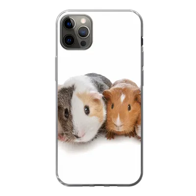 Produktbild von MuchoWow® Handyhülle Schutzhülle Hülle für iPhone 13 Pro Max Fünf Meerschweinchen Silikon Softcase Handy Hülle - Mobiltelefon
