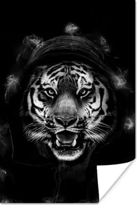 Produktbild von MuchoWow® Poster Tiger mit Kapuze zwischen Lichtern auf schwarzem Hintergrund - schwarz und weiß 20x30 cm - Papierdruck