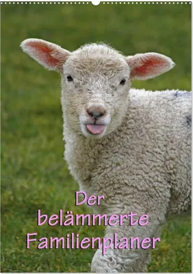 Produktbild von Der belämmerte Familienplaner (Wandkalender 2025 DIN A2 hoch), CALVENDO Monatskalender