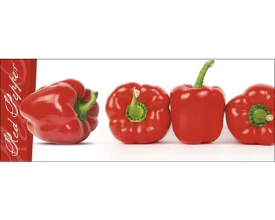 Produktbild von Glasbild Red Pepper Modern Grafisch Querformat Rot Weiß 125x50 cm