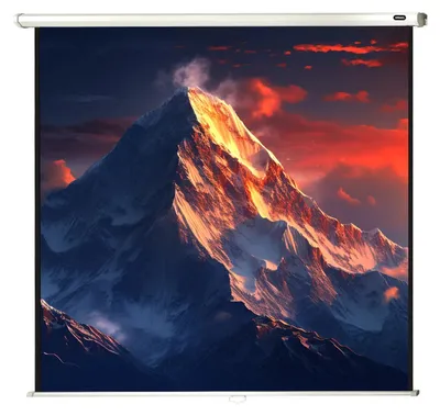 Produktbild von celexon Leinwand Rollo Economy 120 x 120 cm - 67"