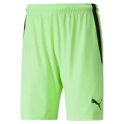 Immagine prodotto di Pantaloni Puma Teamliga 70492420