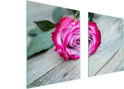 Obrázok produktu pre Sklenená Ochranná Tabuľa Pre Herd 85X52 Rose