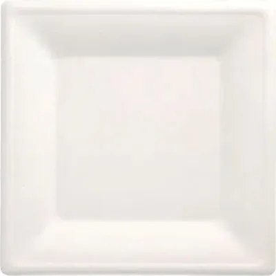Immagine prodotto di PAPSTAR 89755 PAPSTAR piatto di canna da zucchero "puro", quadrato, 260 x 260 mm, 12 pezzi