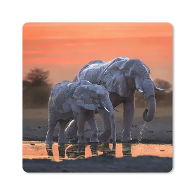 Produktbild von MuchoWow® Mauspad Mousepad Elefant - Tiere - Sonnenuntergang - Wasser - Orange 20x20 cm - Mousepads - Maus Mat - Pad - Mausunterlage - Desk Mat - Bureauartikeln