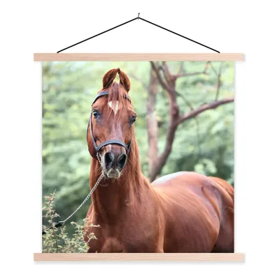 Produktbild von MuchoWow® Textilposter Pferd - Wald - Halfter 60x60 cm mit holzfarbenen Rahmen - Wanddekoration