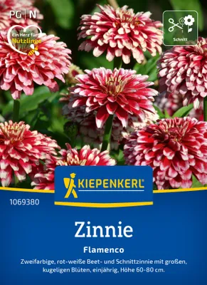 Produktbild von Kiepenkerl Zinniensamen Flamenco Zinnia elegans 50 Pflanzen
