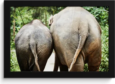 Produktbild von MuchoWow® MuchoWow® Gerahmtes Poster Elefant - Tiere - Grau - Natur 30x20 cm - Poster mit zchwarzem Bilderrahmen - Kunstdruck - Bild-Poster