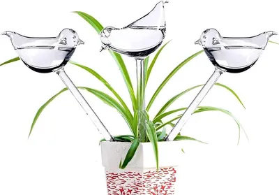 Productafbeelding van Waterbollen van glas, zelfwaterende stekers – set van 3 plantenwatergevers – zelfwaterende vogelvorm voor binnen- en buitenplanten