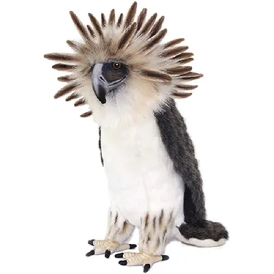 Produktbild von Hansa Toy 7368 Philippinenadler 30 cm Kuscheltier Stofftier Plüschtier