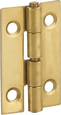 Image de Charnière de porte de meuble / porte légère, 30x19mm, laiton - THIRARD