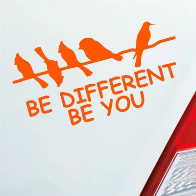 Produktbild von Auto Aufkleber Be different be you Schräger Vogel Birds 19x10 cm Orange Sticker Heckscheibenaufkleber