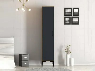 Image de Juste - Armoire Polyvalente 1 Porte, 40x201h cm Noir Anthracite, 4 Étagères
