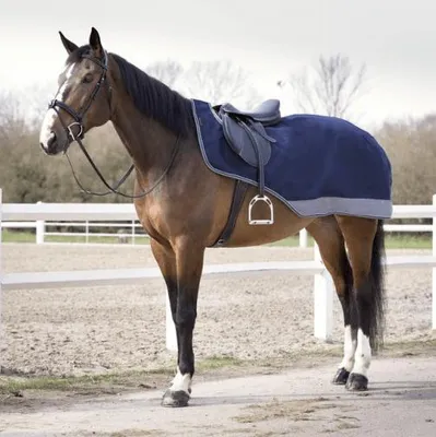 Image de Couvre-reins Equithème Tyrex 600D - Taille 165