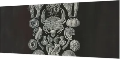 Produktbild von Selbstklebende Wandtapete - Dekorative Tapete für Wohnzimmer - Klebefolie für Wandbilder - Tapetenfolie für Wanddekoration - 208x146 cm - Unterwasserformen