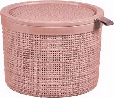 Image de Boîte/récipient de rangement - Boîte en plastique avec couvercle - Volume 2 l - Rose