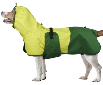 Immagine prodotto di Impermeabile per cani, con cappuccio, colore verde, taglia M