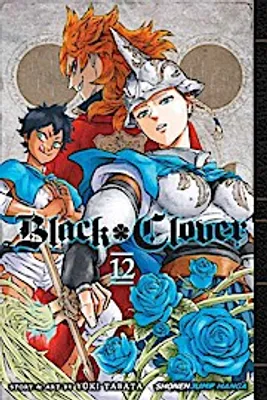 Zdjęcie produktu dla Black Clover, Vol. 12