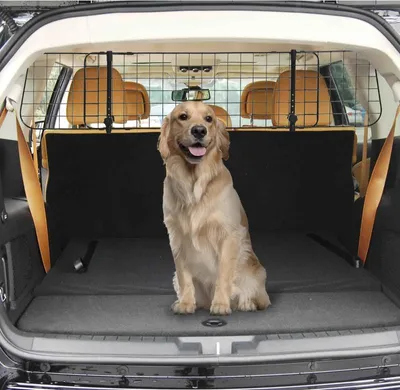 Image de Fortuna Lai Barrière pour chien pour voiture universelle  Barrière de protection pour chien avec largeur réglable en continu, barrière de séparation pour coffre de voiture Barrière pour chien Barrière de protection pour chien Barrière de protection 91-152 x 30 cm