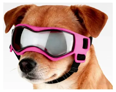 Produktbild von Hundesonnenbrille für kleine Rassen mit UV-Schutz, ideal für Spaziergänge, Wanderungen, Strandbesuche und Reisen