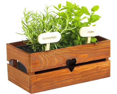 Obrázek produktu pro Truhlík dřevěný BYLINKÁČ 34 x 19 x 15 cm teak