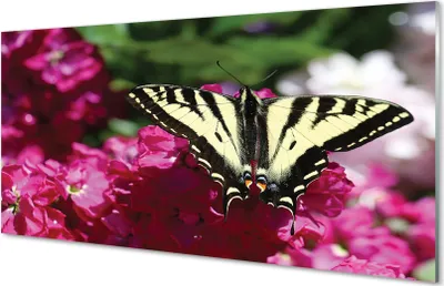Produktbild von Glasbilder 120x60 Wandkunst Blumen Schmetterling