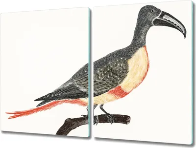Produktbild von Coloray Hackbrett Kochplattenabdeckung Herdabdeckplatte 2x40x52 cm Schneidebrett Küchenbrett - Tier Vogel Zweig