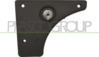 Produktbild von PRASCO FT9308311 Türgriff Innen Hinten Rechts für FIAT Ducato Kastenwagen (250, 290) Schwarz