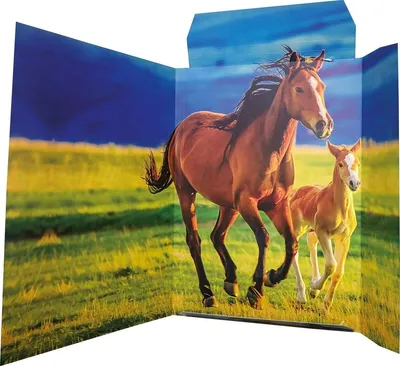 Produktbild von Zeichenmappe A3 -Free Horses- Karton 350 g/qm Packung mit 3 Stück