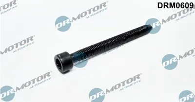 Image de DR.MOTOR AUTOMOTIVE Vis, support d'injecteur (DRM0609) pour VW Multivan T5